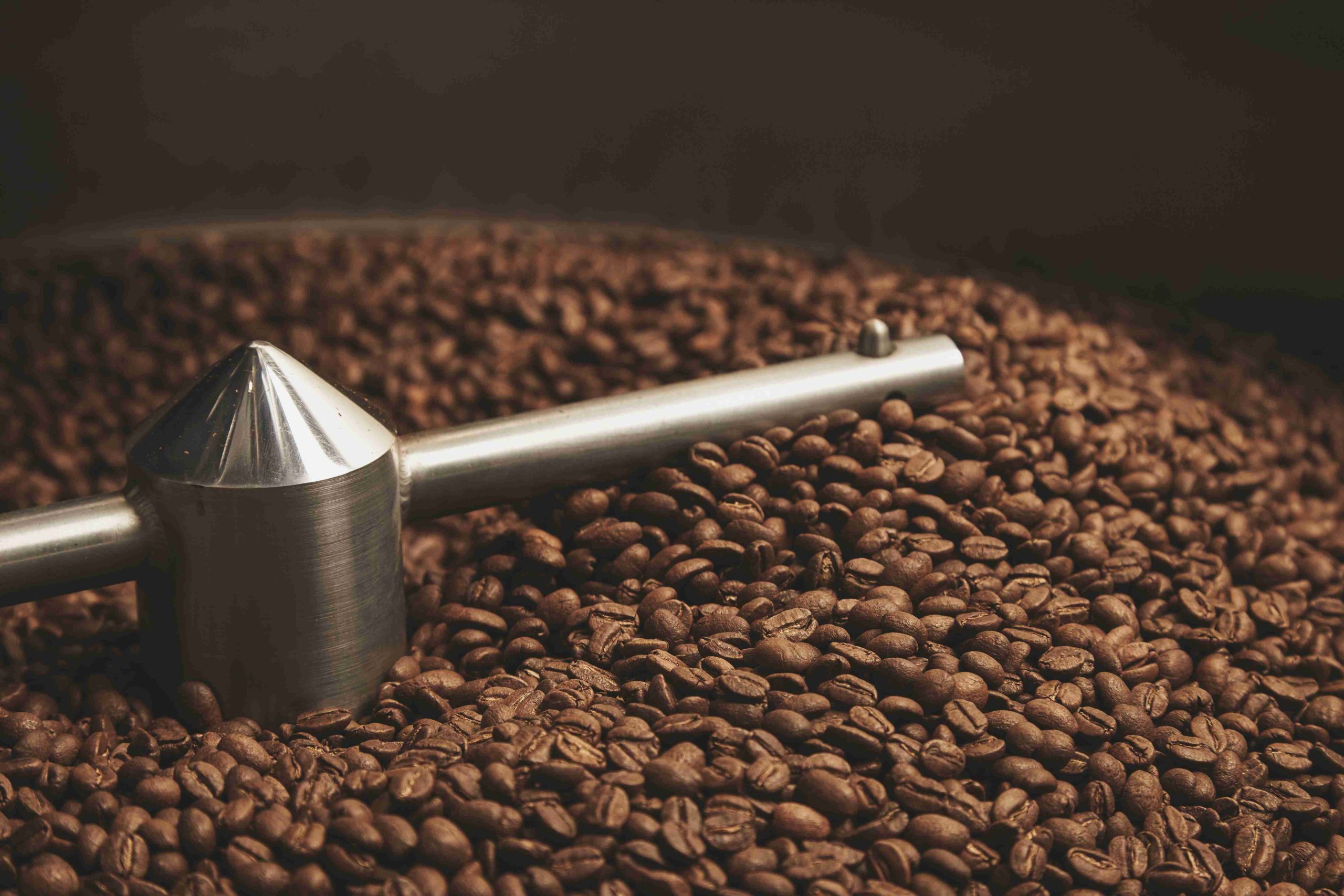 Jasa Pengolahan Kopi Robusta (Maklon Kopi)